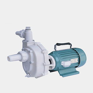 103小型手提耐腐蝕自吸泵