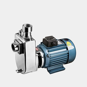 ZXL-1小型不銹鋼自吸泵